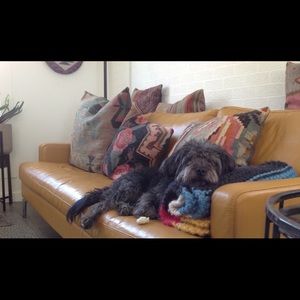 Meet your Posher, Leanne